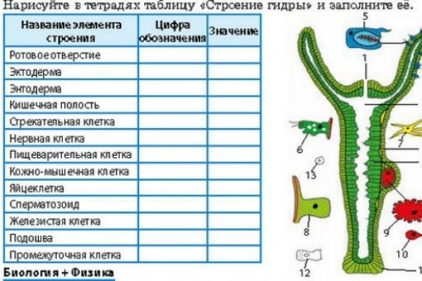 Сайт кракен не работает почему